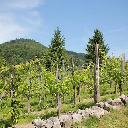 Σαλέ In Ventron With Pool & Wine Route Access Le Thillot